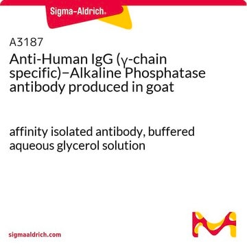 Anti-Human IgG (&#947;-chain specific)&#8722;Alkaline Phosphatase antibody produced in goat affinity isolated antibody, buffered aqueous glycerol solution