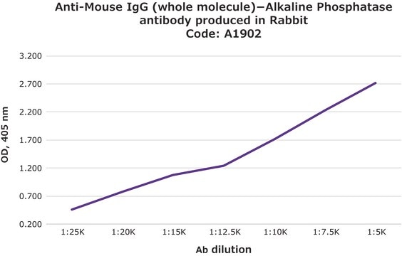 Anti-Mouse IgG (whole molecule)&#8722;Alkaline Phosphatase antibody produced in rabbit affinity isolated antibody, buffered aqueous glycerol solution