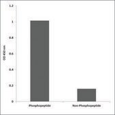Anti-phospho-c-Jun (pTyr170) antibody produced in rabbit affinity isolated antibody