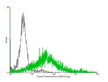 Anti-ADORA2A antibody produced in mouse purified immunoglobulin, buffered aqueous solution