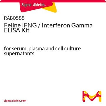 Feline IFNG / Interferon Gamma ELISA Kit for serum, plasma and cell culture supernatants