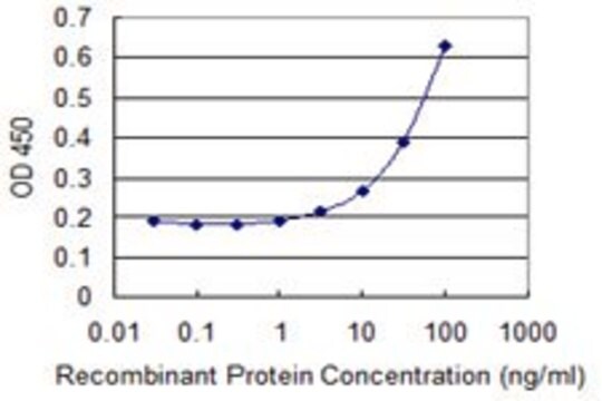 Monoclonal Anti-NPY1R antibody produced in mouse clone 3A1, purified immunoglobulin, buffered aqueous solution