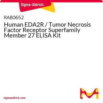 Human EDA2R / Tumor Necrosis Factor Receptor Superfamily Member 27 ELISA Kit