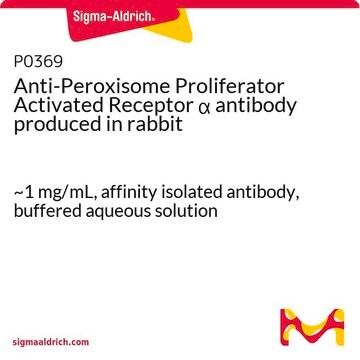 Anti-Peroxisome Proliferator Activated Receptor &#945; antibody produced in rabbit ~1&#160;mg/mL, affinity isolated antibody, buffered aqueous solution