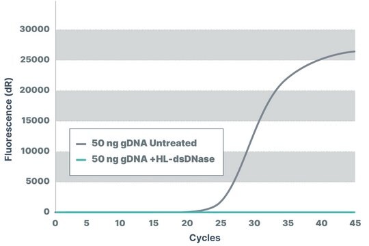 dsDNase For gDNA removal, recombinant, expressed in Pichia pastoris, Heat labile, Triton-free