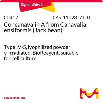 Concanavalin A from Canavalia ensiformis (Jack bean) Type IV-S, lyophilized powder, &#947;-irradiated, BioReagent, suitable for cell culture