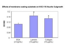 Neurite Outgrowth Assay Kit (3 &#181;m) The NS220 Neurite Outgrowth Assay Kit (3 &#181;m) is based on the use of Millicell cell culture inserts (chambers) containing a permeable membrane with 3-&#956;m pores at the base.
