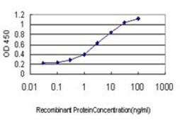 ANTI-TEK antibody produced in mouse clone 6G9, purified immunoglobulin, buffered aqueous solution