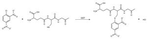 Glutathione-S-Transferase (GST) Assay Kit sufficient for 500&#160;multiwell tests