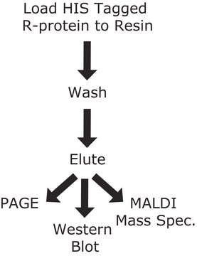 HIS-Select&#174; Cobalt Affinity Gel (1:1 suspension in a 30% ethanol solution)