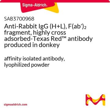 Anti-Rabbit IgG (H+L), F(ab&#8242;)2 fragment, highly cross adsorbed-Texas Red&#8482; antibody produced in donkey affinity isolated antibody, lyophilized powder