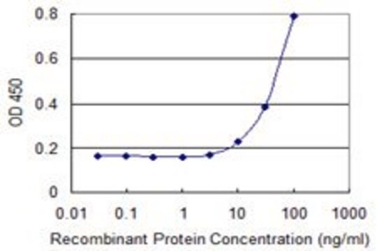 Monoclonal Anti-SIN3B antibody produced in mouse clone 2C11, purified immunoglobulin, buffered aqueous solution