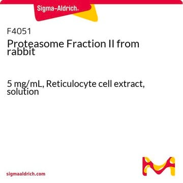 Proteasome Fraction II from rabbit 5&#160;mg/mL, Reticulocyte cell extract, solution