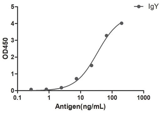 Alpaca Anti-Chicken IgY Biotin single domain Antibody recombinant Alpaca(VHH) Nano antibody