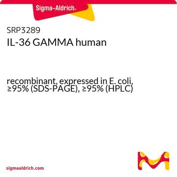 IL-36 GAMMA human recombinant, expressed in E. coli, &#8805;95% (SDS-PAGE), &#8805;95% (HPLC)