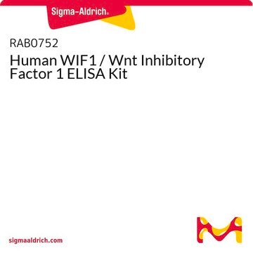 Human WIF1 / Wnt Inhibitory Factor 1 ELISA Kit