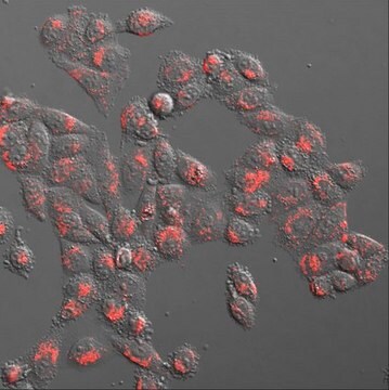 LuminiCell Tracker 670- Cell Labeling Kit Biocompatible organic fluorescent nanoparticles (AIEDots) that can be used to label cells for long term cell tracking and cell tracing in vitro and in vivo experiments.
