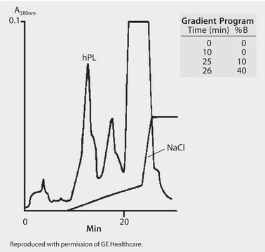 HPLC Analysis of Proteins on Mono Q HR 5/5 application for HPLC