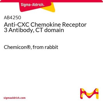 Anti-CXC Chemokine Receptor 3 Antibody, CT domain Chemicon&#174;, from rabbit