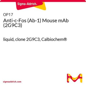 Anti-c-Fos (Ab-1) Mouse mAb (2G9C3) liquid, clone 2G9C3, Calbiochem&#174;