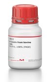 &#946;-Casein from bovine milk BioUltra, &#8805;98% (PAGE)