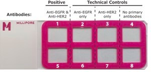 Duolink&#174; PLA Control Kit - PPI Control Kit to reliably detect Protein-Protein Interactions (PPI) with Duolink&#174; PLA
