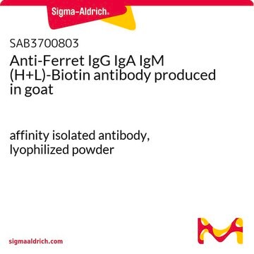 Anti-Ferret IgG IgA IgM (H+L)-Biotin antibody produced in goat affinity isolated antibody, lyophilized powder