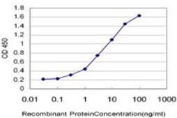 Monoclonal Anti-IKBKB antibody produced in mouse clone 2C3, purified immunoglobulin, buffered aqueous solution
