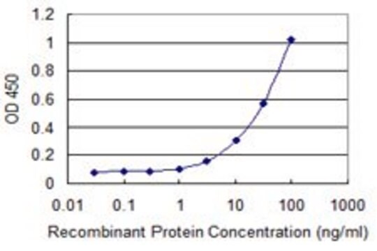 Monoclonal Anti-CAPN11 antibody produced in mouse clone 2G2, purified immunoglobulin, buffered aqueous solution