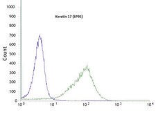 Anti-Keratin 17 antibody, Rabbit monoclonal recombinant, expressed in proprietary host, clone SP95, affinity isolated antibody