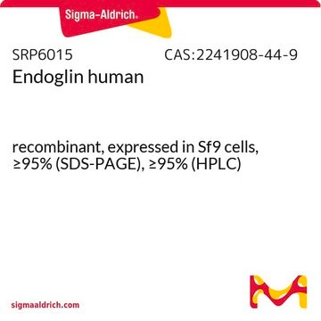 Endoglin human recombinant, expressed in Sf9 cells, &#8805;95% (SDS-PAGE), &#8805;95% (HPLC)