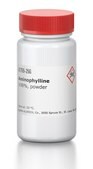 Aminophylline &#8805;98%, powder