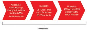 ReadyScript&#174; cDNA Synthesis Mix Complete reagent for first strand cDNA synthesis for RT-qPCR