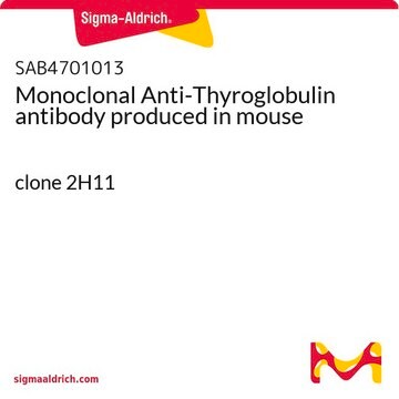 Monoclonal Anti-Thyroglobulin antibody produced in mouse clone 2H11