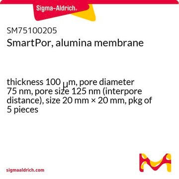 SmartPor, alumina membrane thickness 100&#160;&#956;m, pore diameter 75&#160;nm, pore size 125&#160;nm (interpore distance), size 20&#160;mm × 20&#160;mm, pkg of 5&#160;pieces