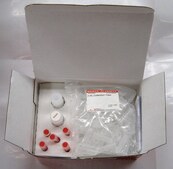 REDExtract-N-Amp&#8482; Plant PCR Kit sufficient for 100&#160;extractions, sufficient for 500&#160;amplifications