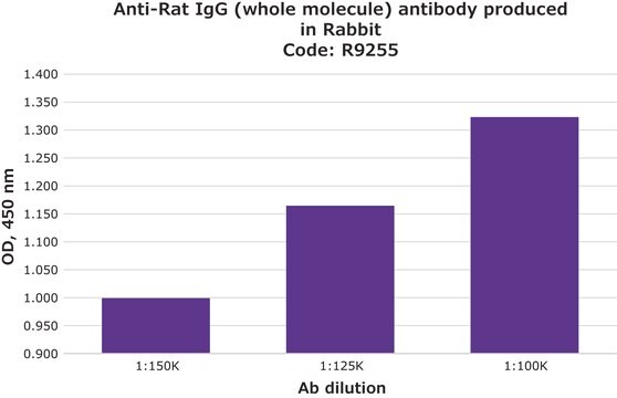 Anti-Rat IgG (whole molecule) antibody produced in rabbit IgG fraction of antiserum, buffered aqueous solution