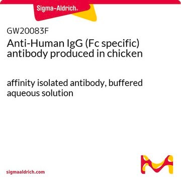 Anti-Human IgG (Fc specific) antibody produced in chicken affinity isolated antibody, buffered aqueous solution