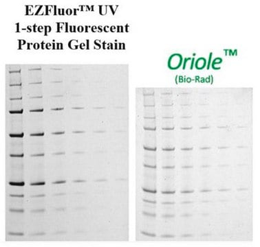 EZFluor&#8482; UV 1-step Fluorescent Protein Gel Stain (1L)