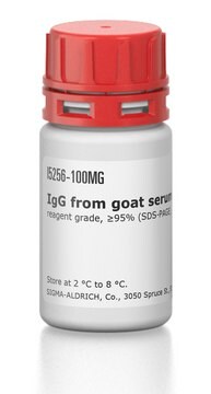 IgG from goat serum reagent grade, &#8805;95% (SDS-PAGE), essentially salt-free, lyophilized powder