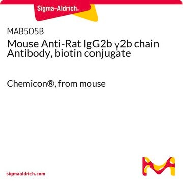 Mouse Anti-Rat IgG2b &#947;2b chain Antibody, biotin conjugate Chemicon&#174;, from mouse