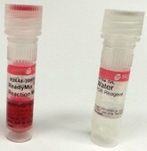 REDTaq&#174; ReadyMix&#8482; PCR Reaction Mix Complete PCR reagent with standard Taq DNA Polymerase and inert dye