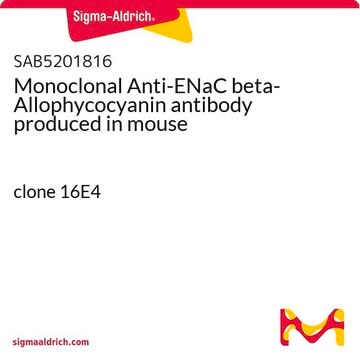 Monoclonal Anti-ENaC beta-Allophycocyanin antibody produced in mouse clone 16E4