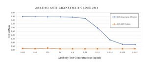 Anti-Granzyme B Antibody, clone 3M4 ZooMAb&#174; Rabbit Monoclonal recombinant, expressed in HEK 293 cells