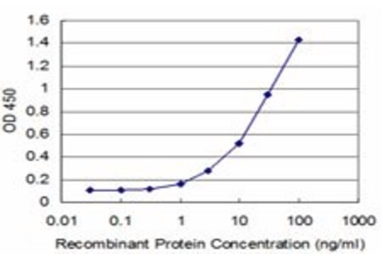 Monoclonal Anti-FOXF1 antibody produced in mouse clone 3D1, purified immunoglobulin, buffered aqueous solution