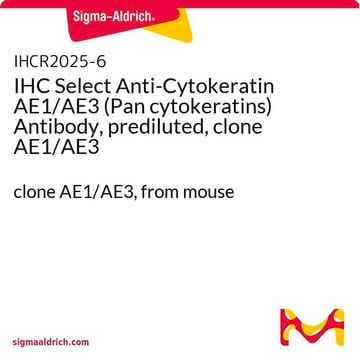 IHC Select Anti-Cytokeratin AE1/AE3 (Pan cytokeratins) Antibody, prediluted, clone AE1/AE3 clone AE1/AE3, from mouse