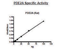 PDE2A active rat recombinant, expressed in baculovirus infected Sf9 cells, &#8805;56% (SDS-PAGE)