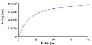 PKC-&#945;, active, GST tagged from Xanopus sp. PRECISIO&#174;, recombinant, expressed in baculovirus infected Sf9 cells, &#8805;70% (SDS-PAGE), buffered aqueous glycerol solution