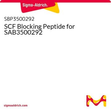 SCF Blocking Peptide for SAB3500292