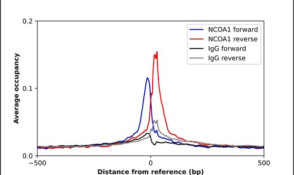 Anti-NCOA1 antibody produced in rabbit Prestige Antibodies&#174; Powered by Atlas Antibodies, affinity isolated antibody